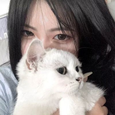 凯蒂环球之旅腾讯版下载